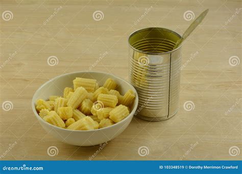 Canned baby corn and can stock image. Image of agriculture - 103348519