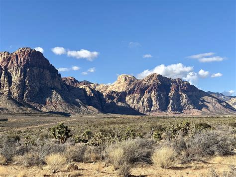 Image result for Loop Pimple