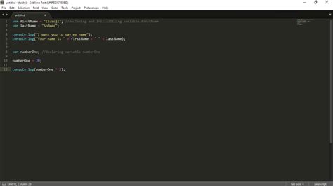 Variables and Functions JavaScript 的图像结果
