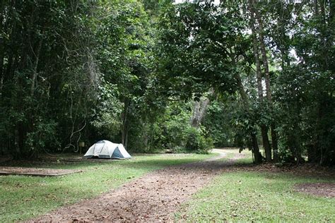 KINGFISHER PARK BIRDWATCHERS LODGE (Julatten) - Lodge Reviews & Photos ...