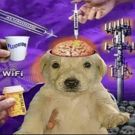 BLACK CACTUS | The political and conspiracy artworks of David Dees ...