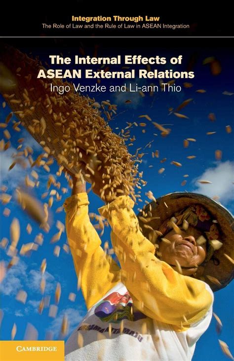 Buy The Internal Effects of ASEAN External Relations: 14 (Integration ...