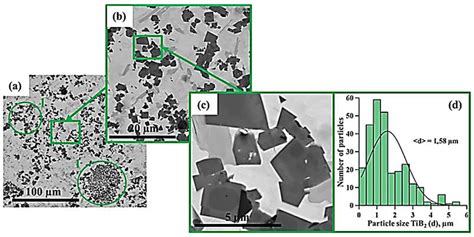 Effect of the Mass Fraction of NiTi–TiB2 SHS-Particles on the Phase ...