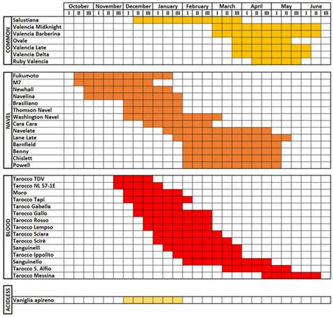 Sweet Orange: Evolution, Characterization, Varieties, and Breeding ...