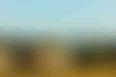 Places to visit in Dehradun