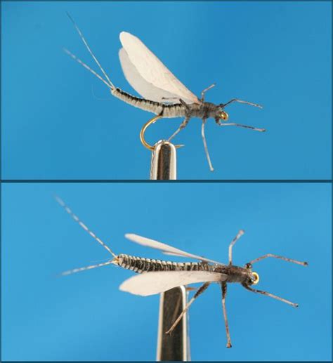 Realistic Flies - | Fly fishing art, Fly fishing, Realistic