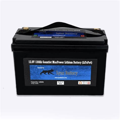 Buy Lynx Battery 12V 120Ah LiFePO4 Deep Cycle Battery Built-in BMS with ...