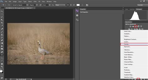 Image result for Curve Photoshop Tutorial