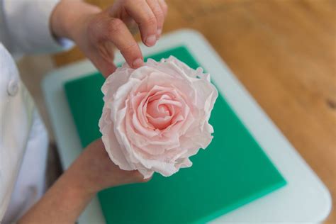 Image result for Sugar Rose Tutorial