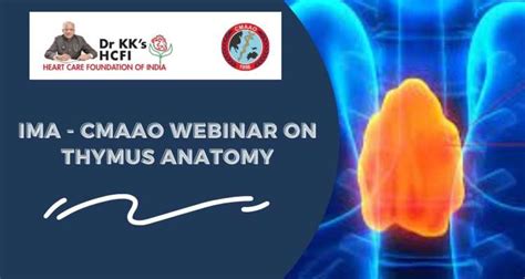 IMA - CMAAO Webinar on Thymus Anatomy | Live Webinar | Medtalks