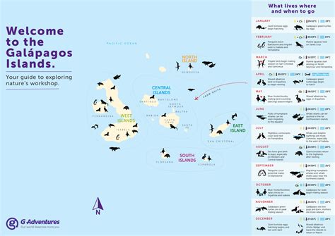 Wildlife in the South and East Galapagos islands — Visas and Vistas ...