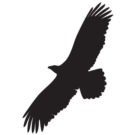 Bald Eagle Overview, All About Birds, Cornell Lab of Ornithology
