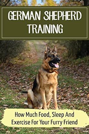 German Shepherd Training: How Much Food, Sleep And Exercise For Your ...