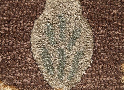 TAQ-104 hacienda beige and brown Hand Tufted wool and viscose Rugs ...