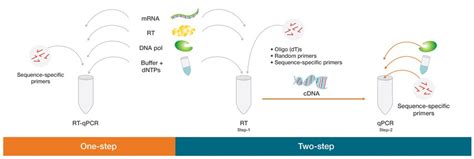 qPCR Method 的图像结果