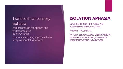Parietal lobe it's lesions and orbital nerve pathway and it's lesions | PPTX
