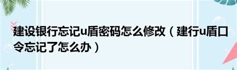 建设银行忘记u盾密码怎么修改（建行u盾口令忘记了怎么办）_第一生活网