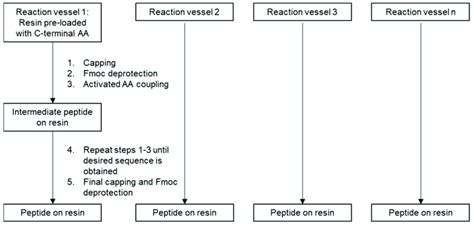 Image result for Peptide Synthesis Process