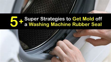 Image result for Mold Front Load Washing Machine