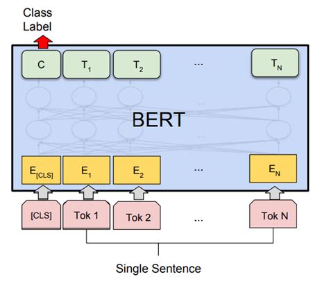 Image result for Bert Encoder Pytorch