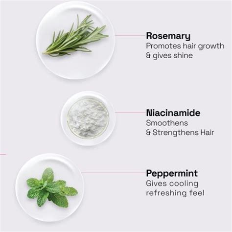 Soulflower Rosemary Water Spray, Hair Growth Serum, Mist with mint for ...