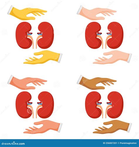 Image result for Handwritten Tutorials Kidney