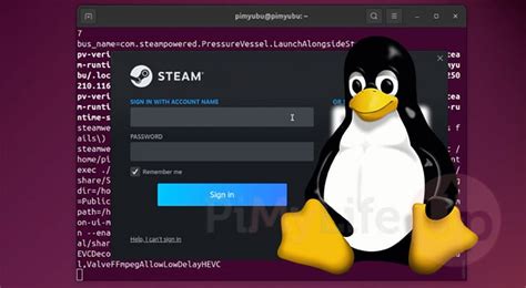 Install Steam Linux 的图像结果