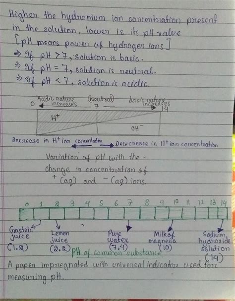 20.Explain the pH scale and explain its importance in everyday life ...