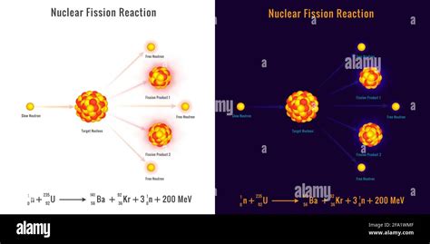 Nuclear Reaction Process 的图像结果