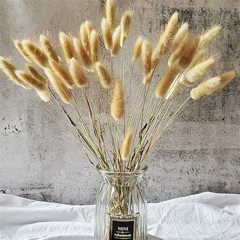 Buy HOMESAKE Set of 30 Natural Dried Pampas Grass - 55cm from Homesake ...