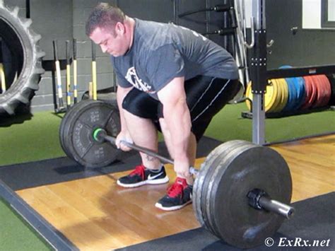 Image result for Powerlifting Program Tier List