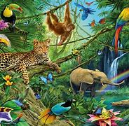 Image result for Cute Animals Wallpaper 4K