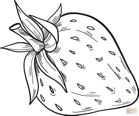 Strawberry coloring page | Free Printable Coloring Pages