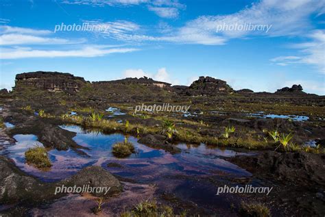 Image result for Alien Planet In