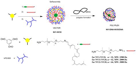Tunable Composition of Dynamic Non-Viral Vectors over the DNA Polyplex ...
