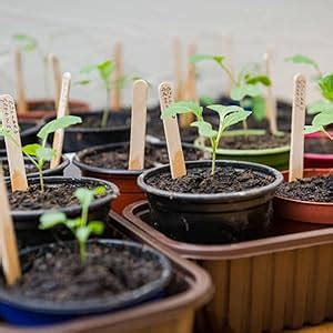 MyOwnGarden Seedling Pots 2 inch Black Plastic Nursery Pot, Small ...