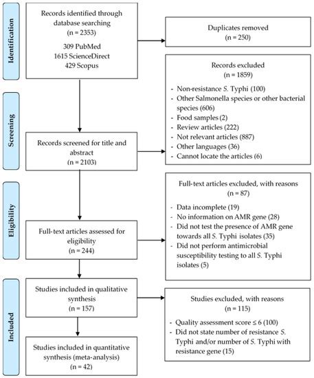 Prevalence of Antimicrobial Resistance Genes in Salmonella Typhi: A ...