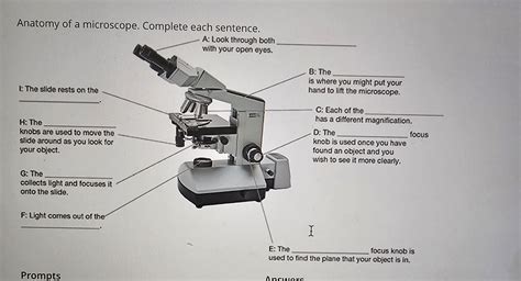 Microscope Biology Sentence at Jose Nicoll blog