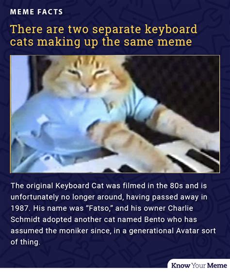 Image result for Keyboard Cat Meme