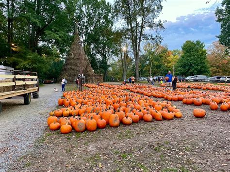 Powers Farm Market – Pittsford, NY | Adventures in New York