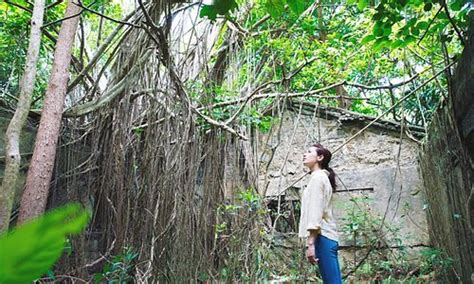 Ogasawara-shoto Tourism (2023): Best of Ogasawara-shoto - Tripadvisor