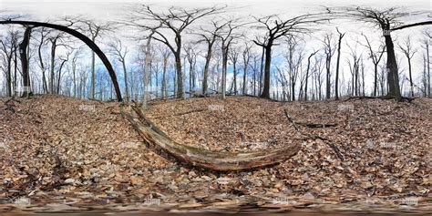 360° view of Quarry Pit in Flint Ridge Memorial State Park, Licking ...