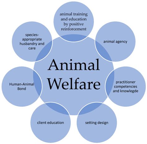 Animals | Special Issue : Animals Assisted Therapy and the Interactions ...