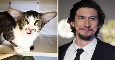 Adam Driver and Wife Joanne Tucker Expecting Baby No. 2 - Oh No They ...