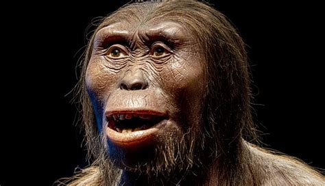 How Humans Reproduce Real 的图像结果