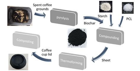 Thermoformed Containers Based on Starch and Starch/Coffee Waste Biochar ...