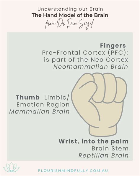 Image result for Handy Brain Model