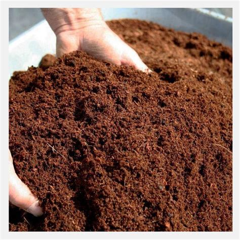 Image result for Coco Peat Sticker High Resolution