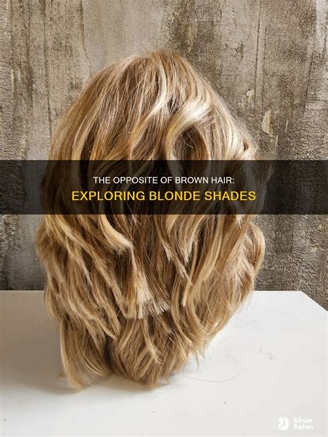 The Opposite Of Brown Hair: Exploring Blonde Shades | ShunSalon