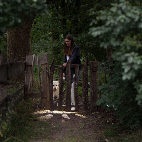 Buy Ledlenser P5R Core Flashlight Online at Best Price - DeltaTac ...